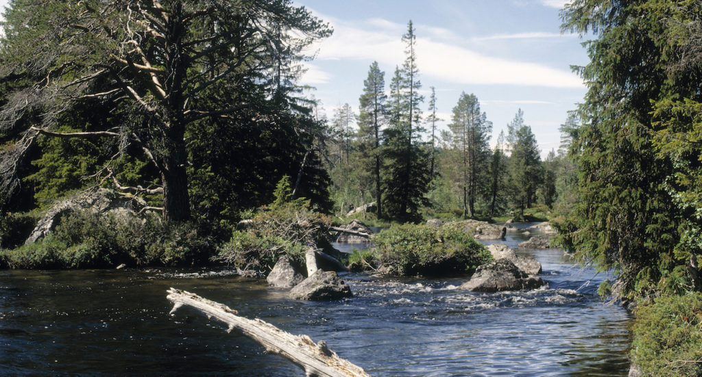 Resm l Visitfjallen se