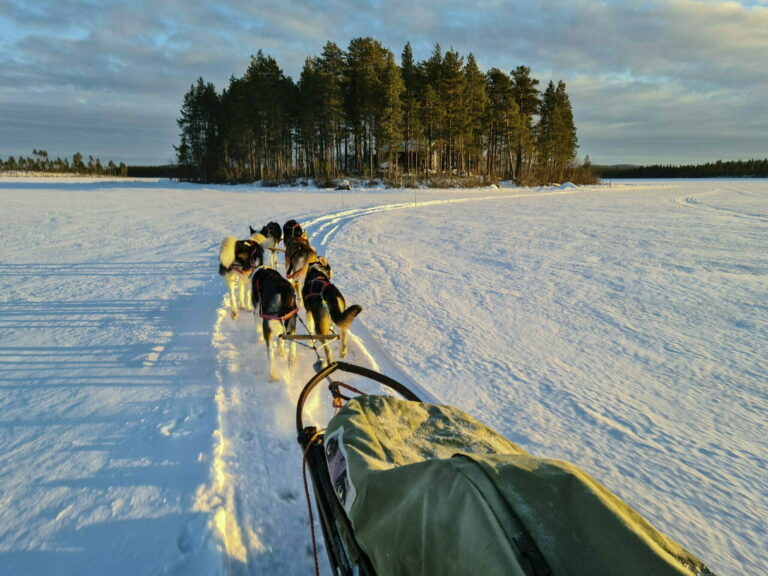 hundspann pa sjo 768x576