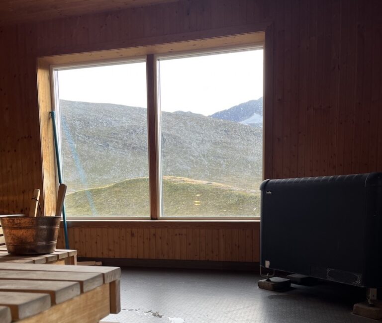 utsikt bastun helags 768x650