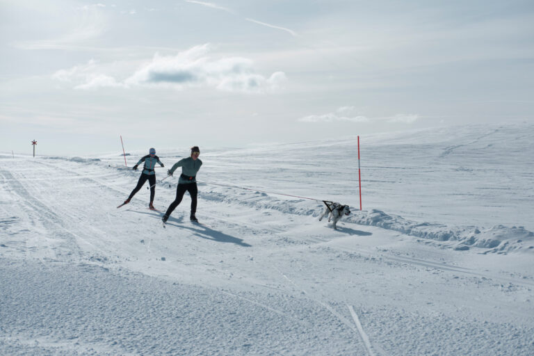 Ramundberget DSF0434 LowRes 768x512