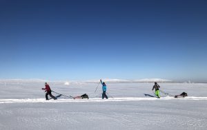 Längdskidor i Storhogna