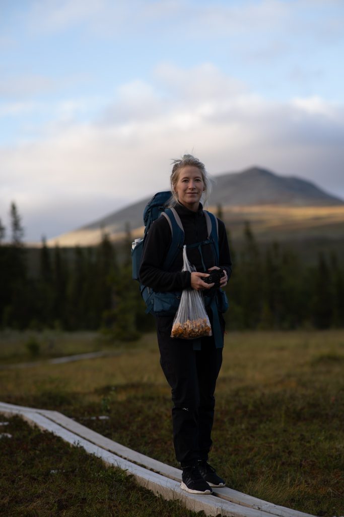 Vandring i Borgafjäll under hösten