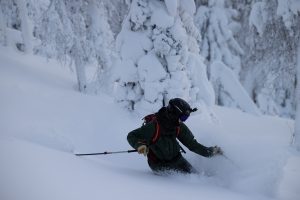 Skidåkning i djup natursnö i Borgafjäll