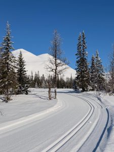 Längdskidspår framför klöverfjället i Borgafjäll