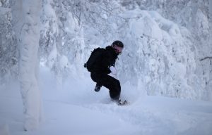 Snowboardåkning i skog i Borgafjäll